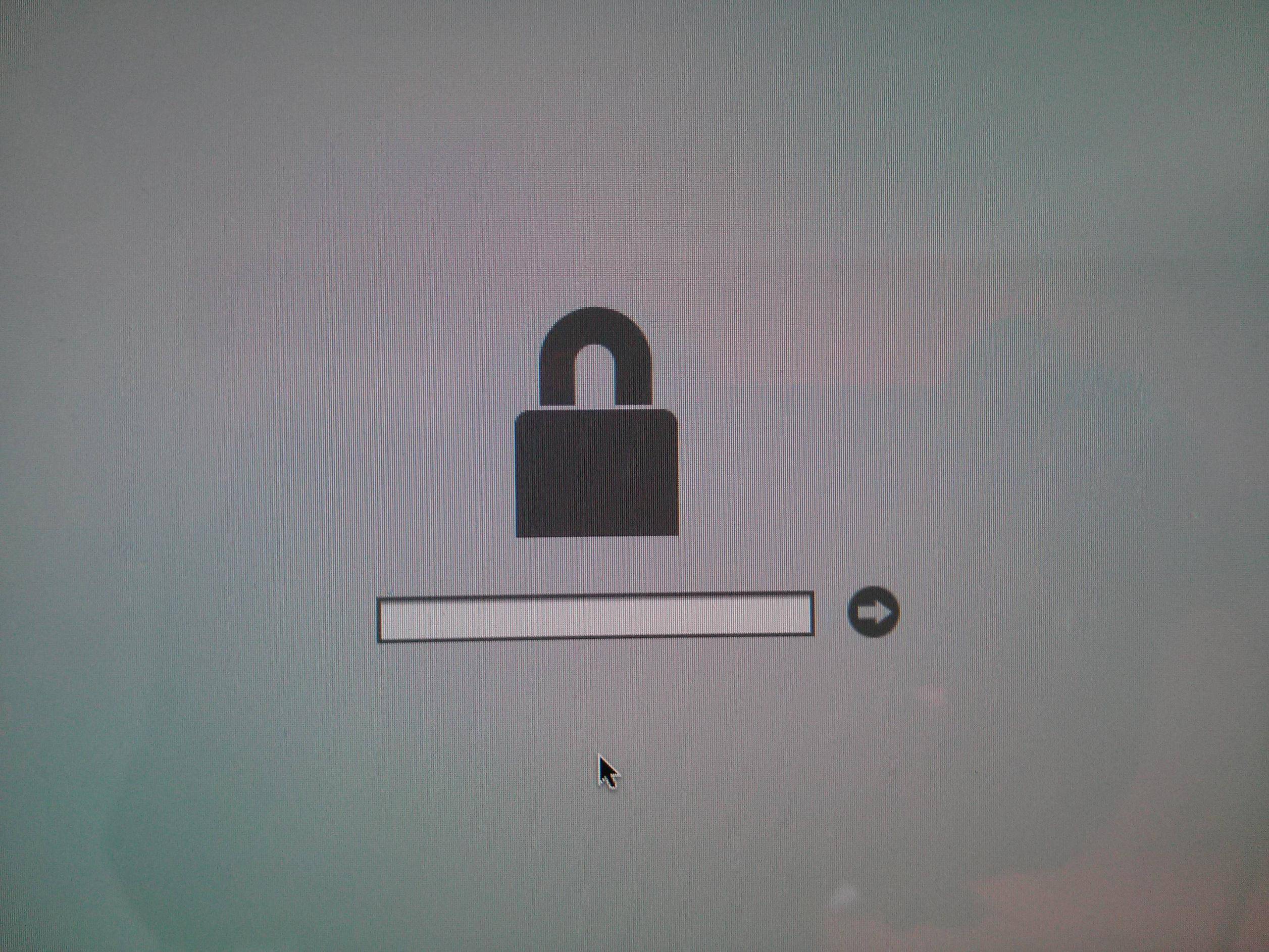 bypass mac firmware password
